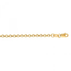 Hollow 14K Yellow Gold Rolo Chain For Men & Women 2.3mm Wide